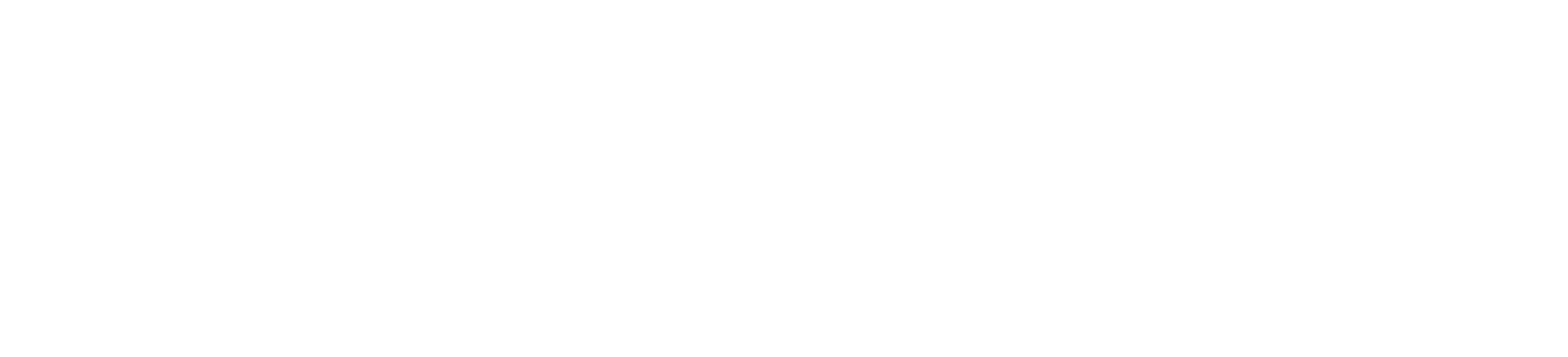KARIKO — Polyol Manufacturer